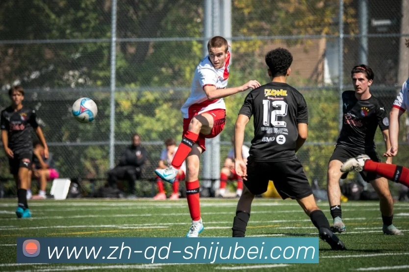 多媒体互动体验